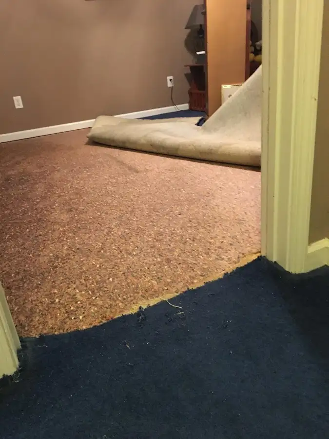 Carpet pad removal revealing water damage during Water Mitigation Services in Oakton