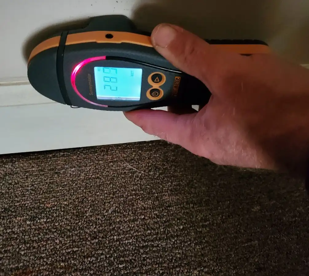 Moisture detection at baseboard during Burst Pipe Cleanup in Oakton
